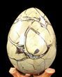 Septarian Dragon Egg Geode - Yellow Calcite #37126-3